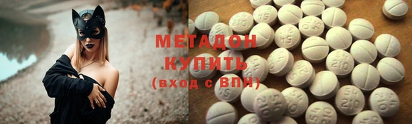 прущие грибы Алзамай