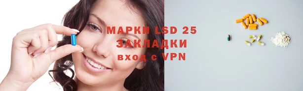 прущие грибы Алзамай