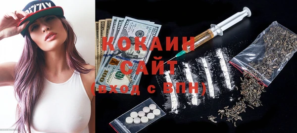 прущие грибы Алзамай