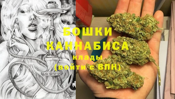крисы Переславль-Залесский