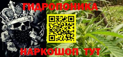 mdpv Бийск