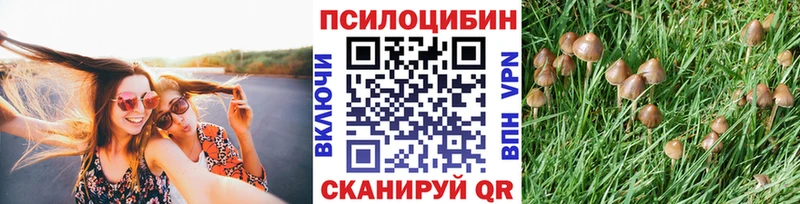 цены   Балабаново  Галлюциногенные грибы прущие грибы 