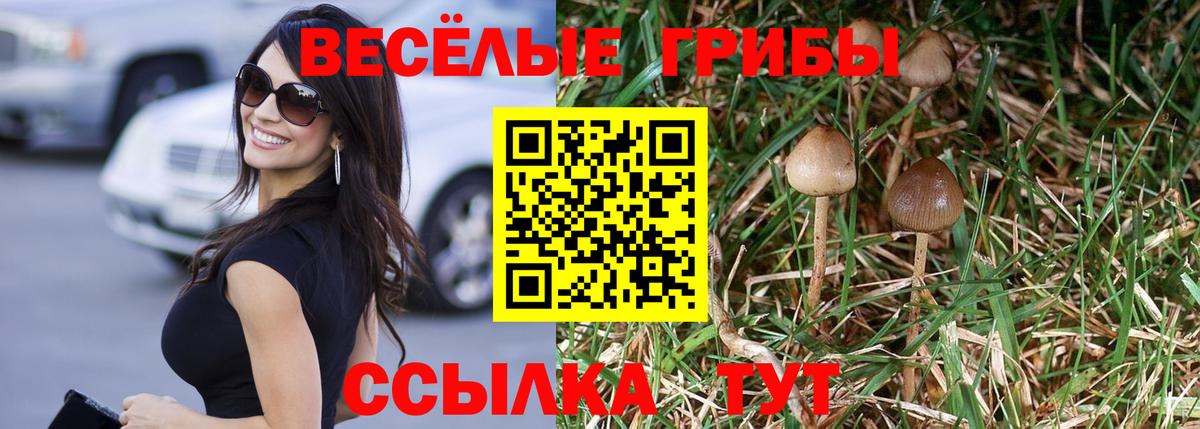 Псилоцибиновые грибы мухоморы Балабаново